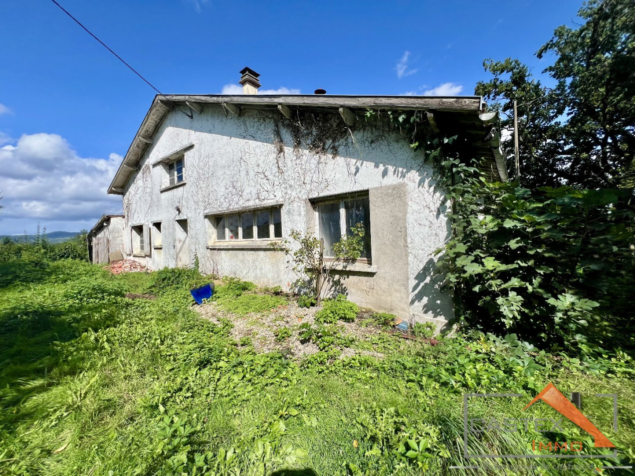 à vendre Maison Salies Du Salat - Photo 1