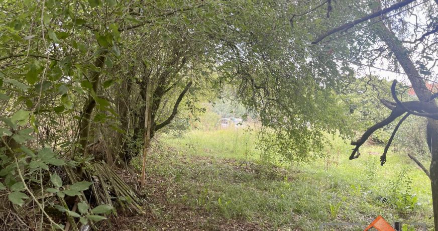à vendre Maison Lafitte-vigordane