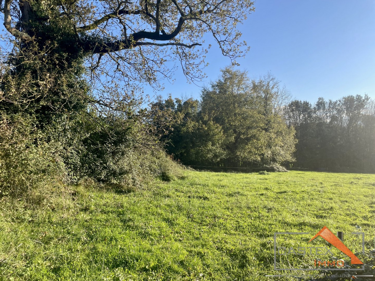 à vendre Terrain constructible Aspet - Photo 4
