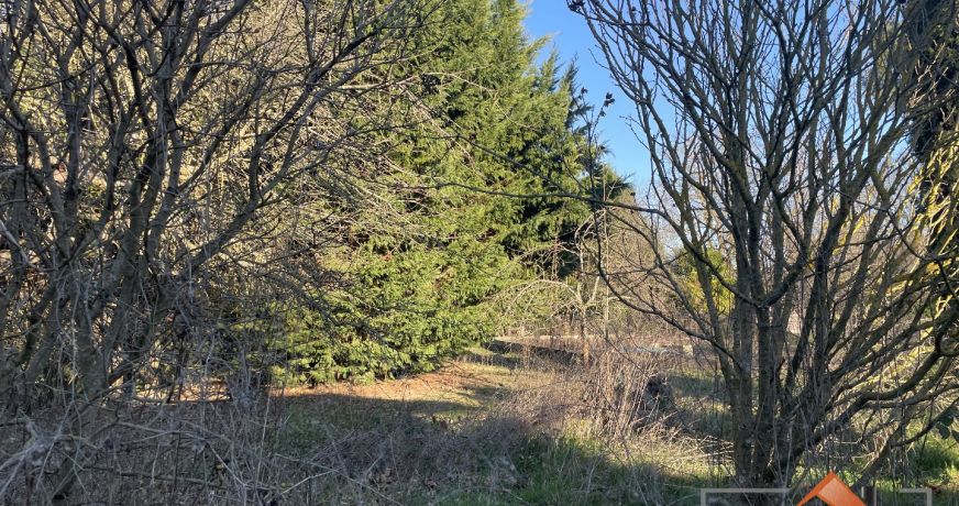 à vendre Terrain diffus (hors lotissement) Mane