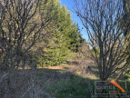 à vendre Terrain diffus (hors lotissement) Mane