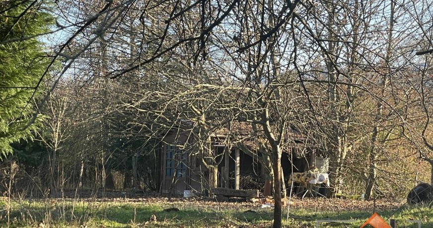 à vendre Terrain diffus (hors lotissement) Mane