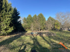 à vendre Terrain diffus (hors lotissement) Mane