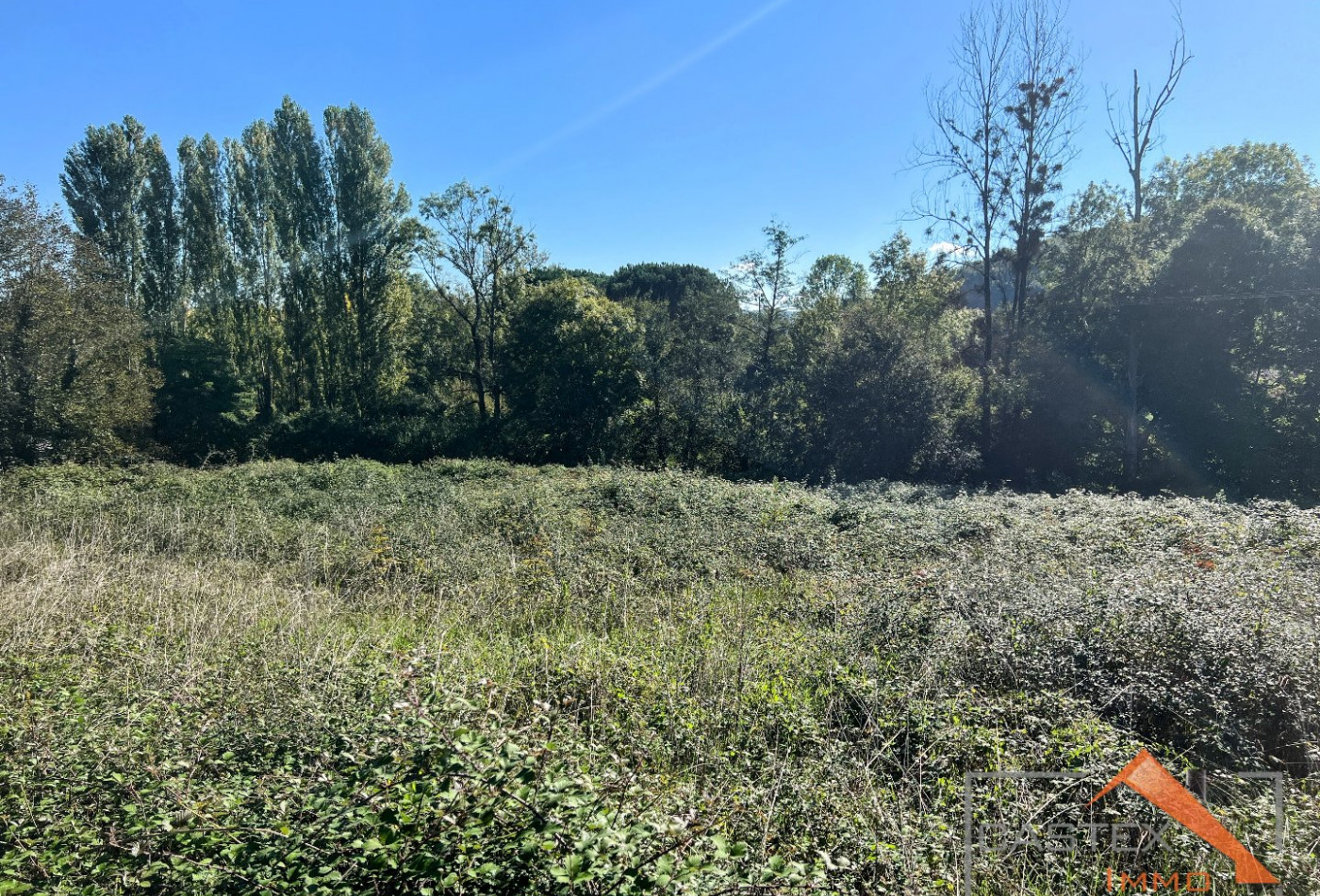 vente Terrain Mane - Photo 4