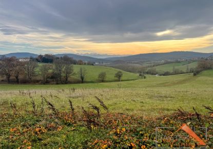 vente Terrain constructible Martres Tolosane