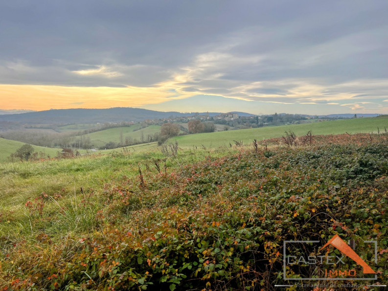 vente Terrain constructible Martres Tolosane - Photo 10