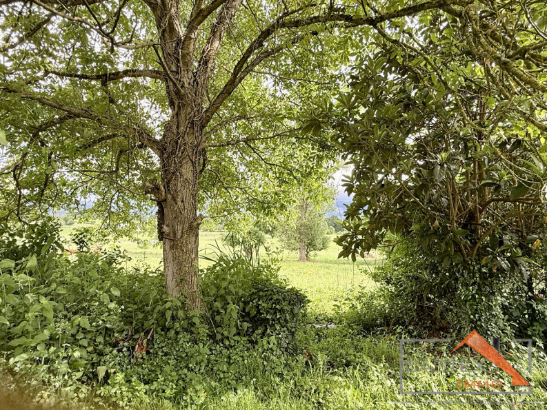 vente Maison Mane - Photo 2