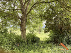 à vendre Maison Mane