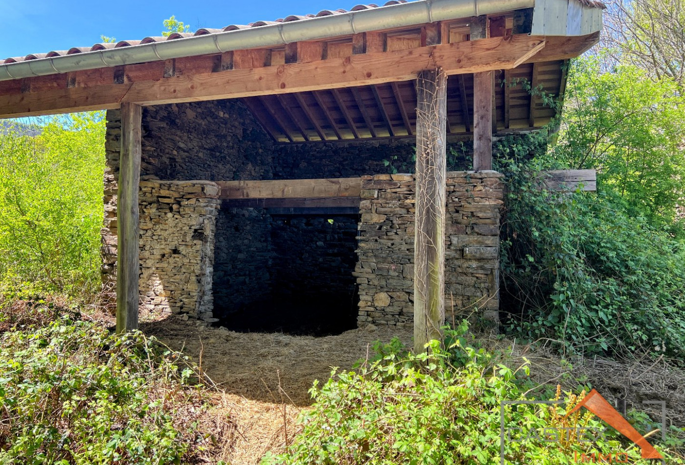 vente Grange Arbas - Photo 3
