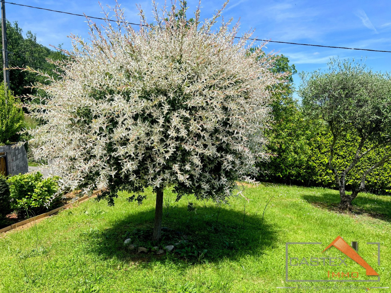 à vendre Maison Aspet - Photo 9