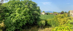 vente Maison Salies Du Salat