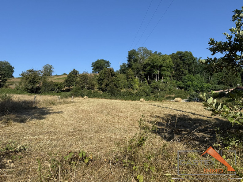 vente Terrain constructible Salies Du Salat - Photo 6