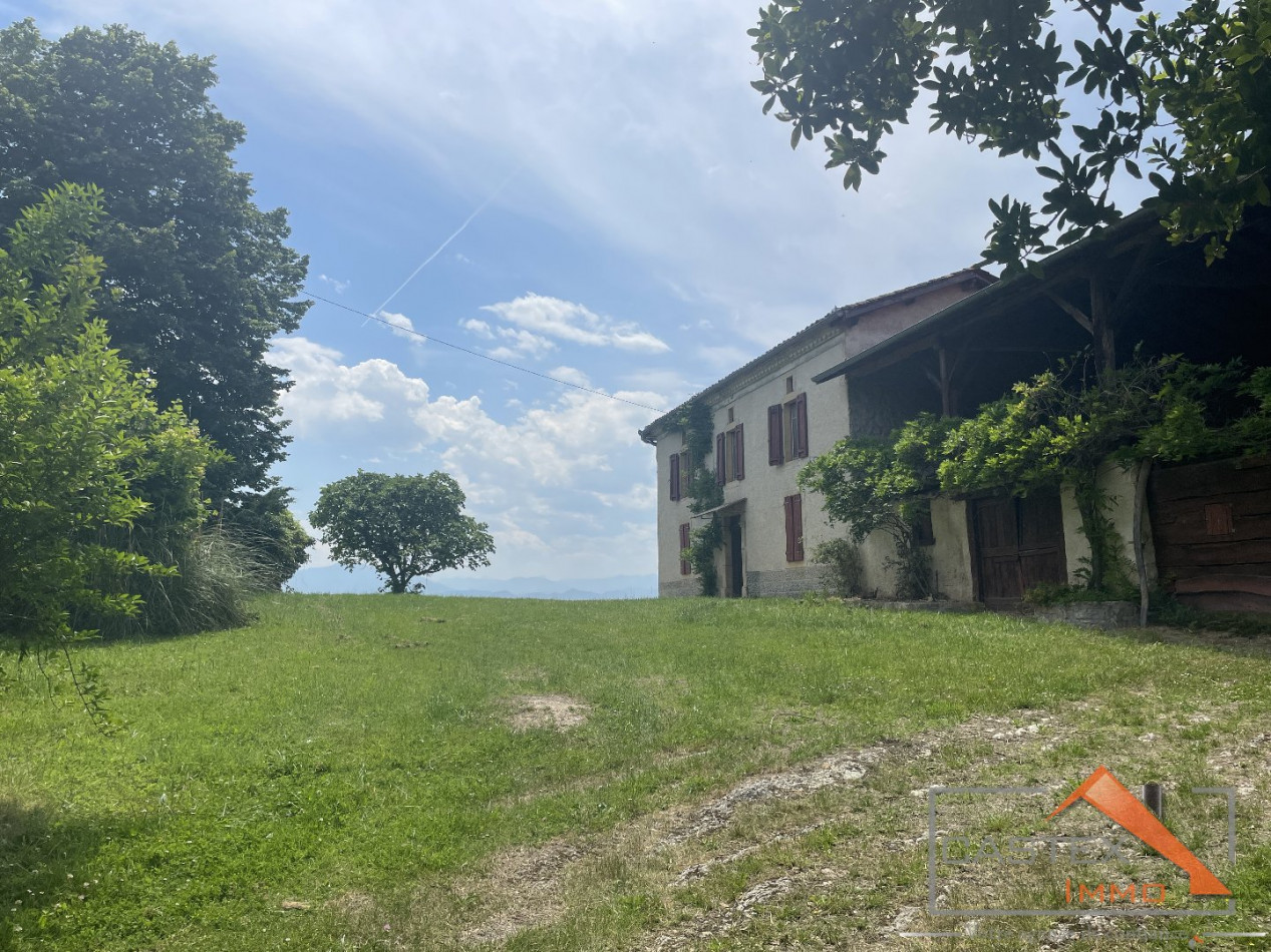 à vendre Maison Saint Martory - Photo 1