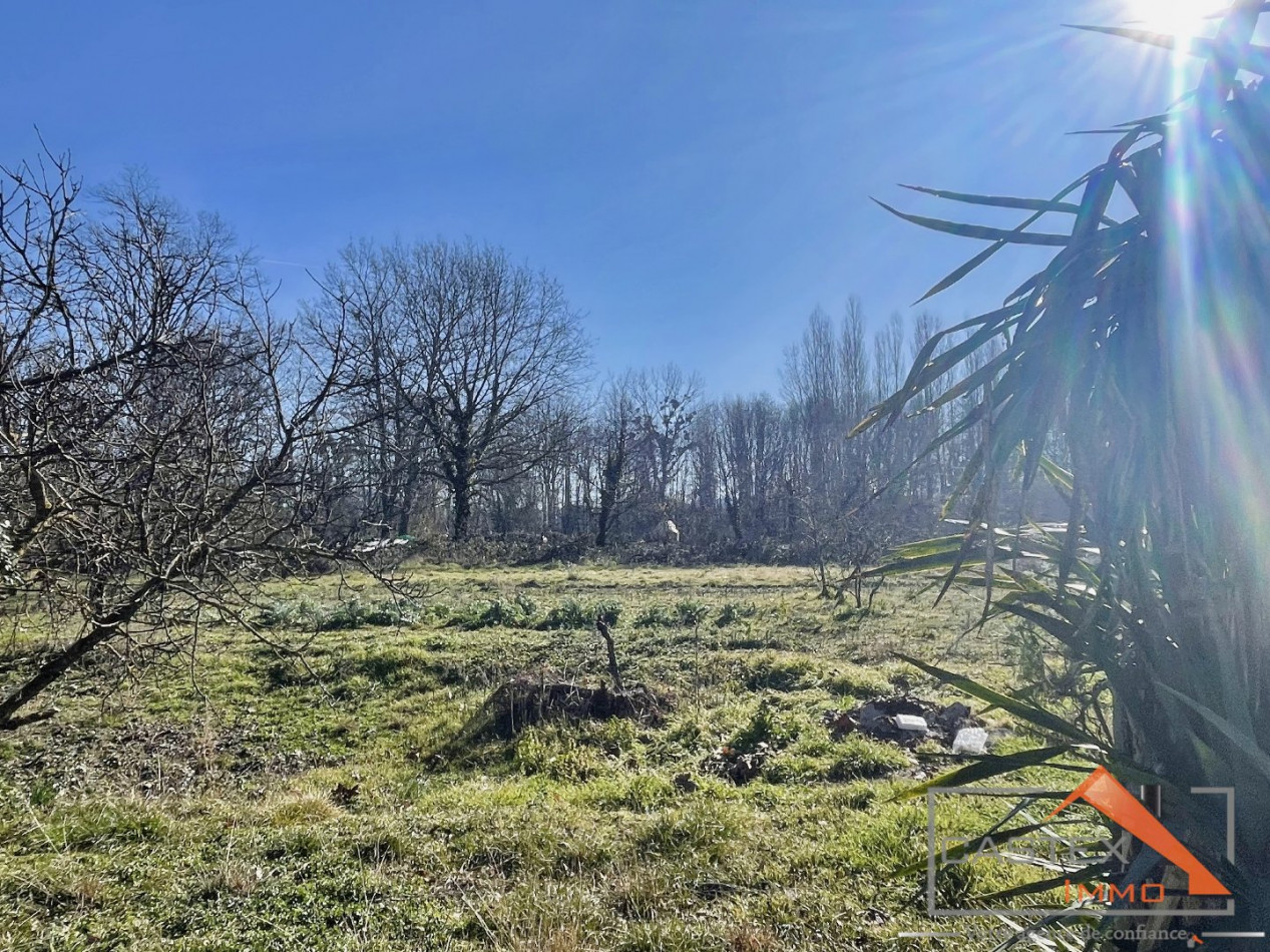 à vendre Maison Saint Martory - Photo 3