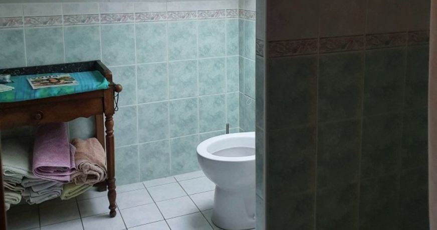 à vendre Maison Mane