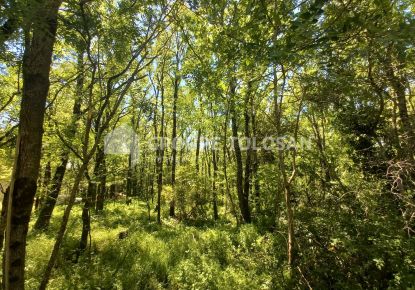 vente Terrain Castelnaudary