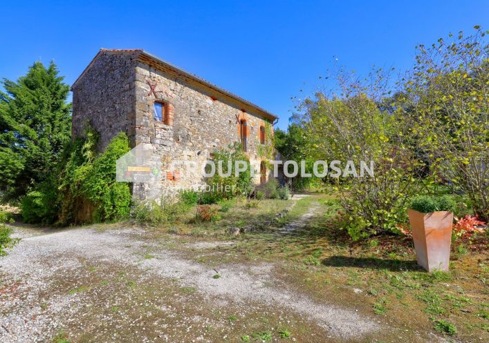 vente Maison de maître Revel