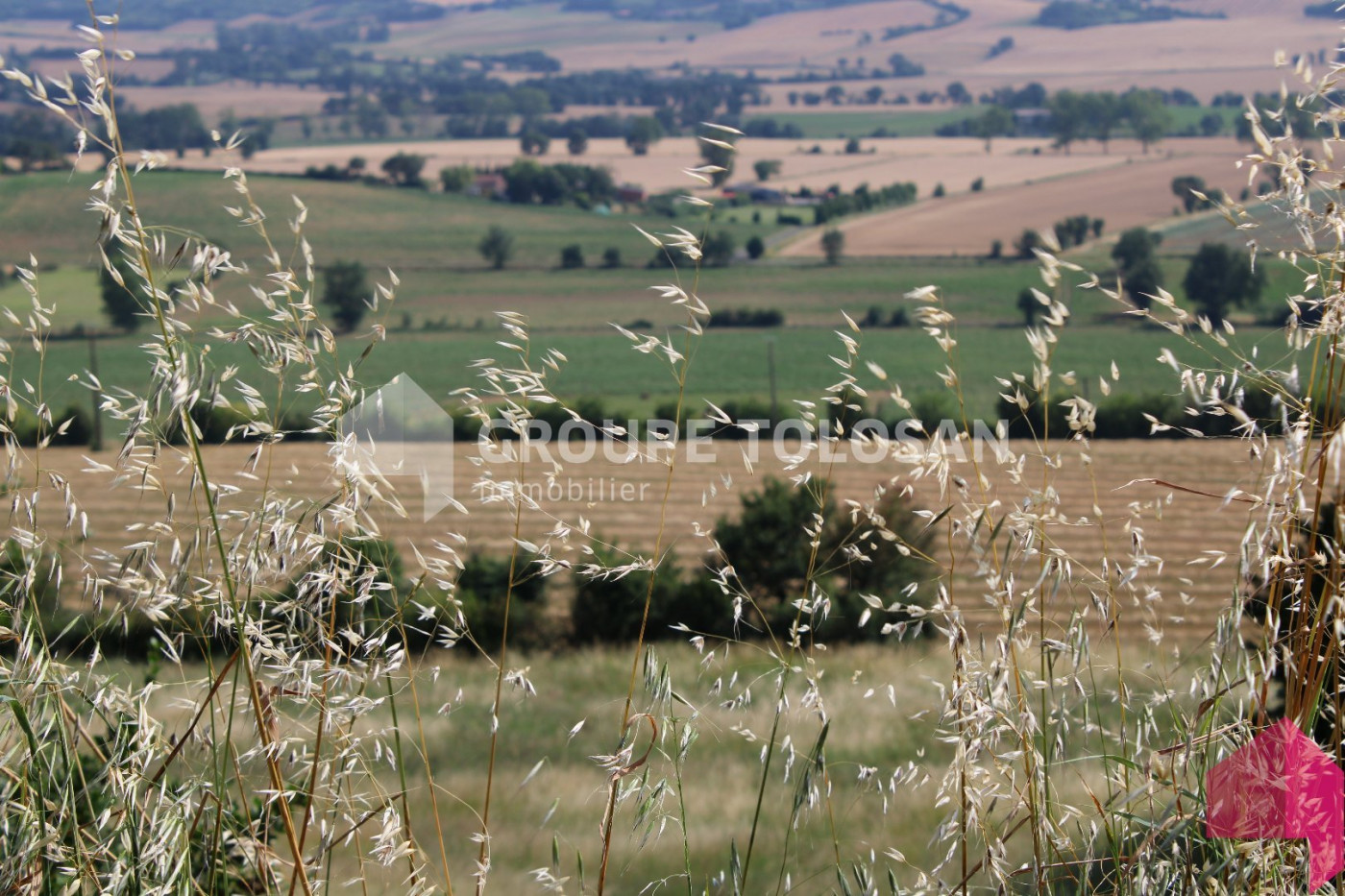 vente Terrain Revel - Photo 2