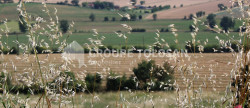 vente Terrain Revel