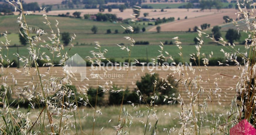 vente Terrain Revel