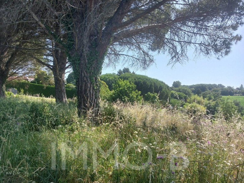 vente Terrain Aureville - Photo 3