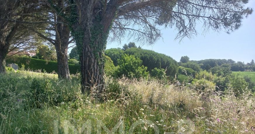 vente Terrain Aureville