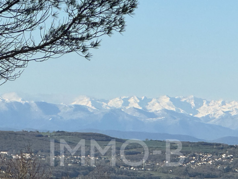 vente Maison Goyrans - Photo 5