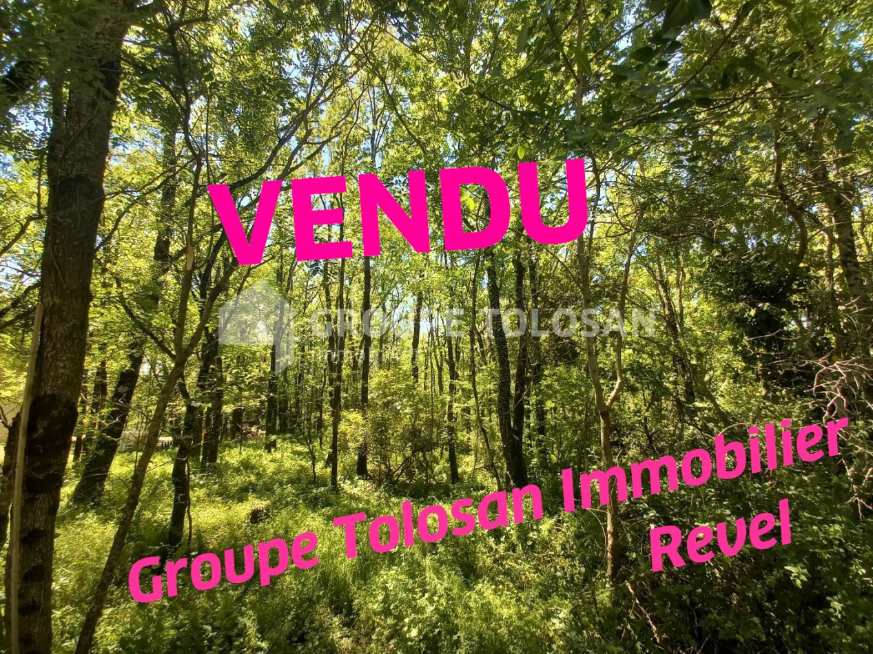 à vendre Terrain Revel - Photo 1