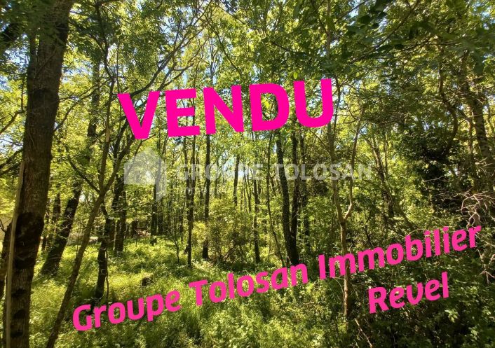 à vendre Terrain Revel