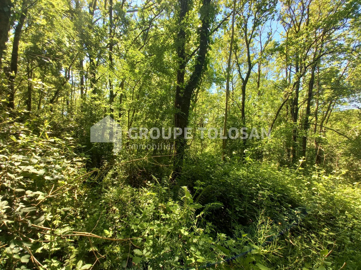 à vendre Terrain Revel - Photo 2