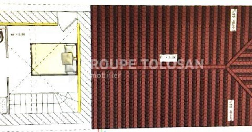 vente Maison en pierre Revel