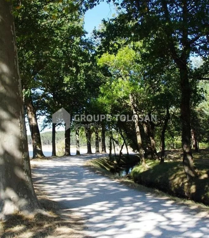 vente Hôtel Revel - Photo 5