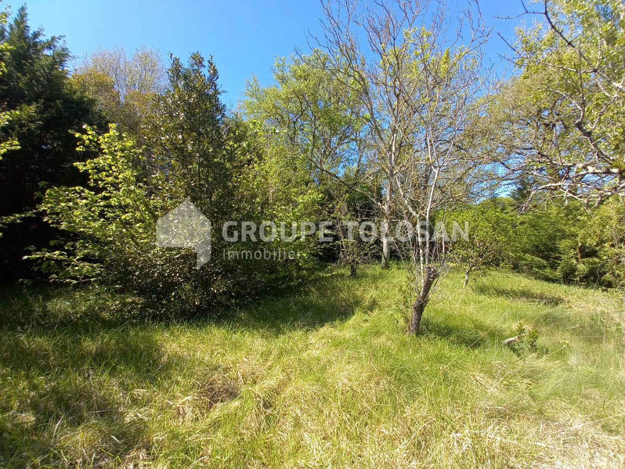 vente Maison Revel - Photo 7