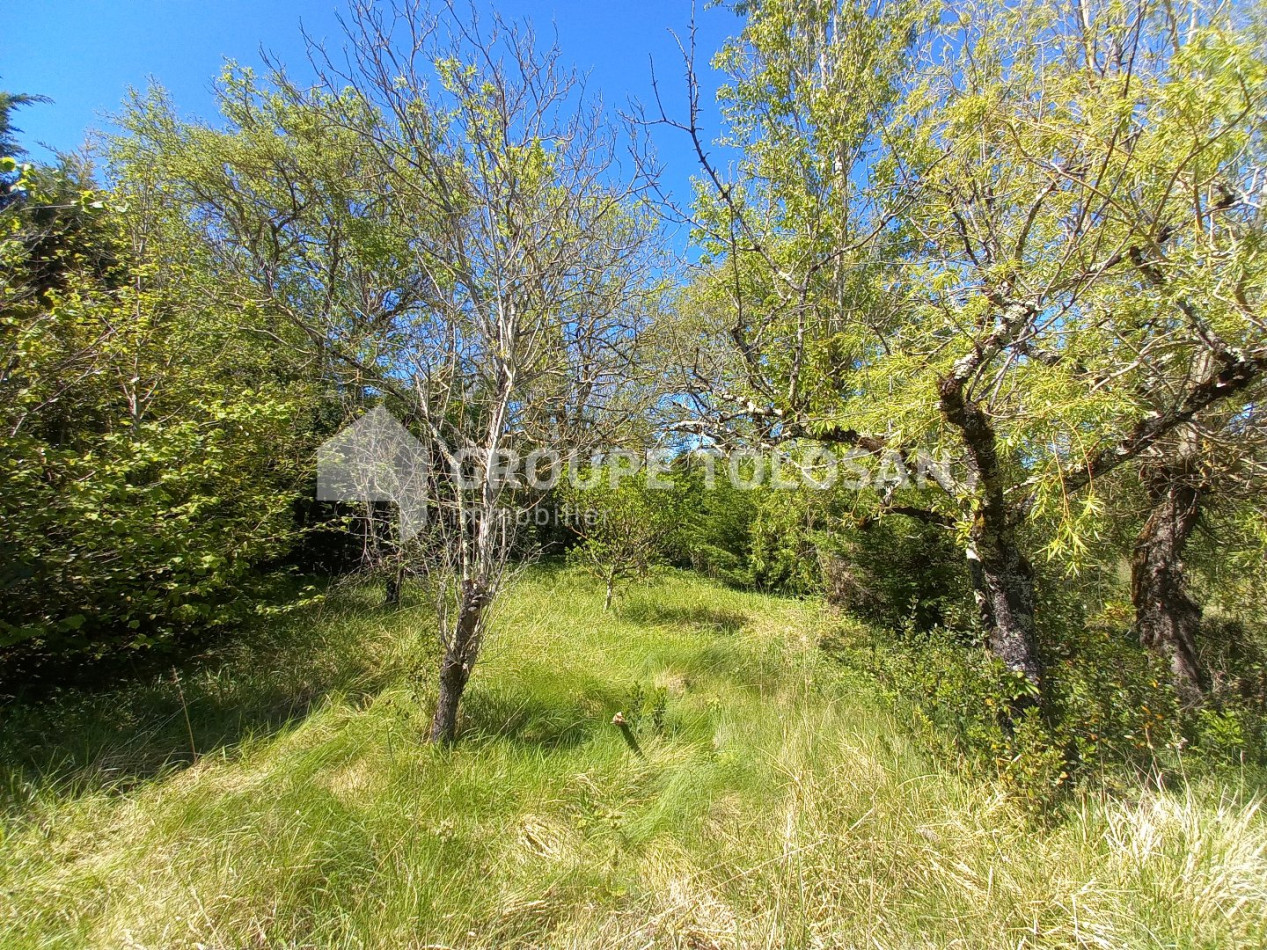 vente Maison Revel - Photo 8