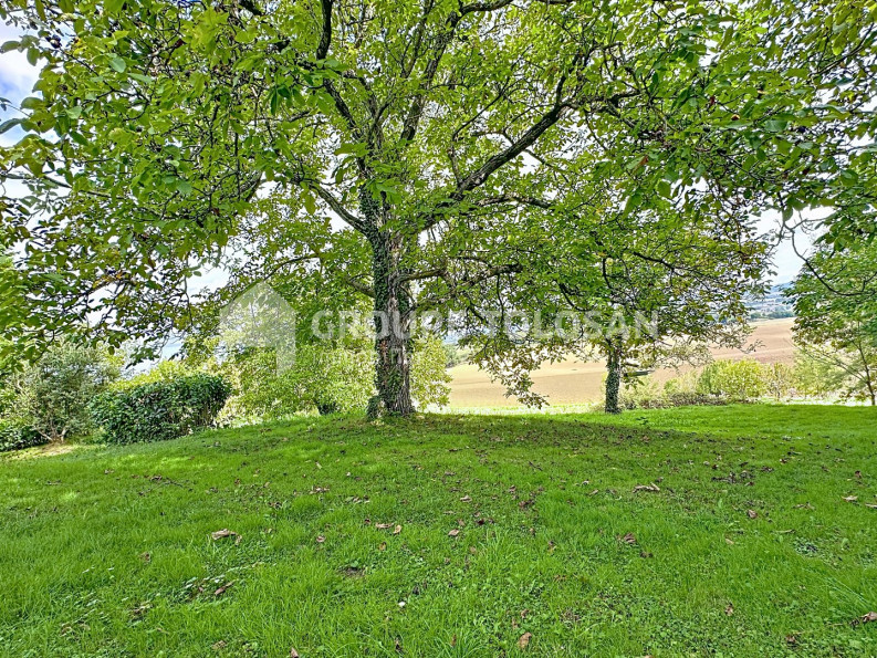 vente Maison de maître Revel - Photo 8