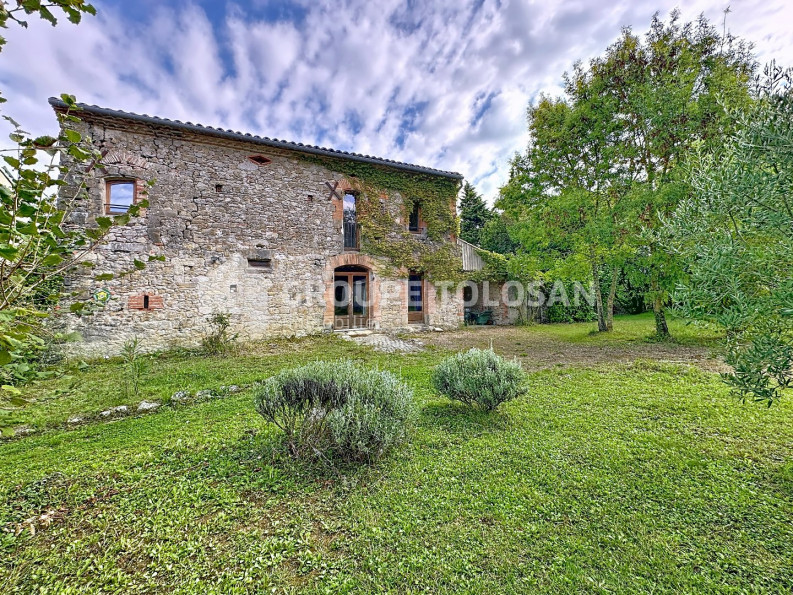 vente Maison de maître Revel - Photo 1