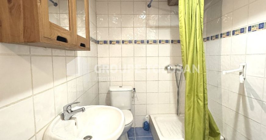 vente Maison de maître Revel