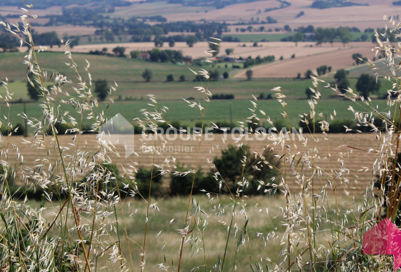 vente Terrain Revel - Photo 2