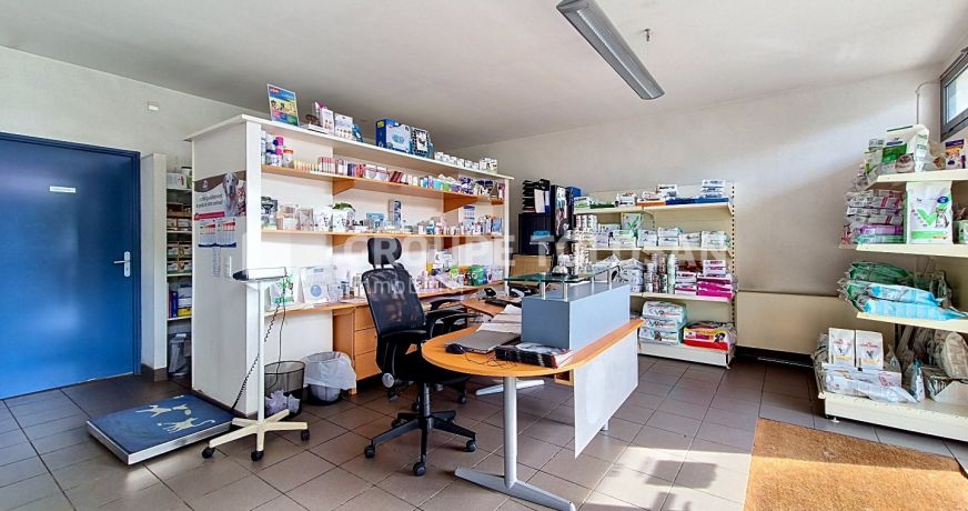 vente Locaux d'activité Revel