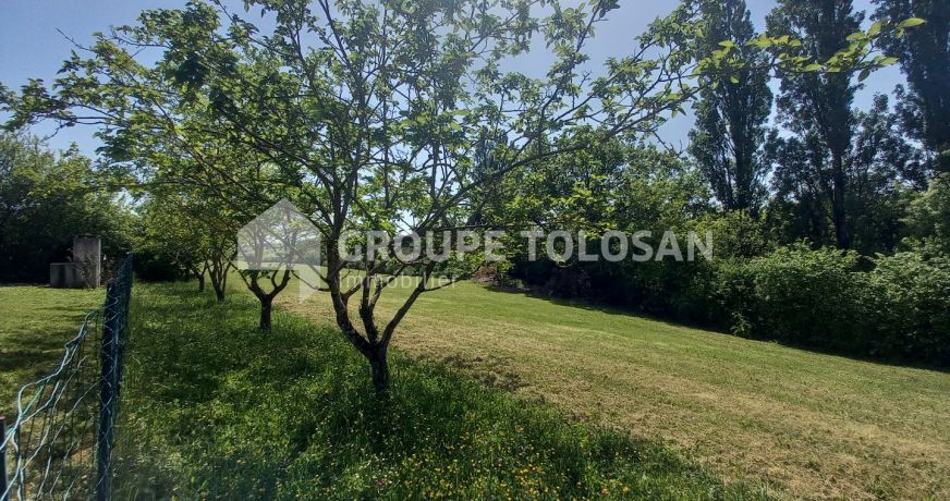 vente Maison Revel