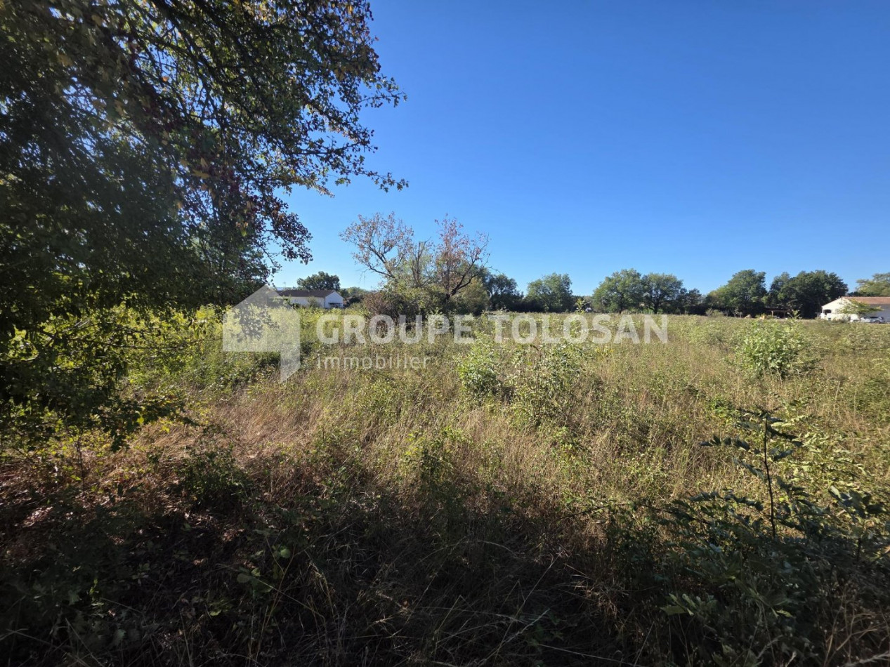 vente Terrain Cambounet Sur Le Sor - Photo 2