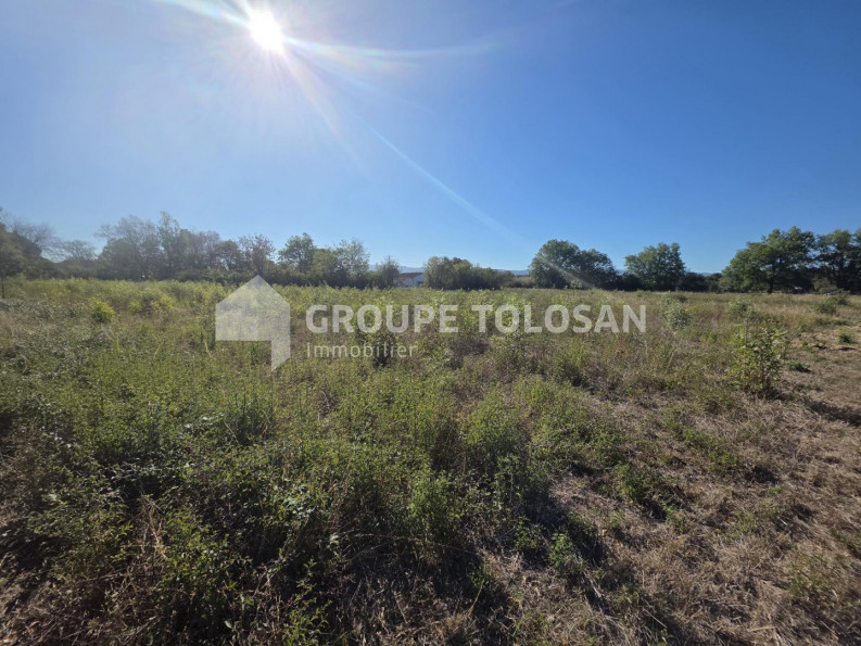 vente Terrain Cambounet Sur Le Sor - Photo 3