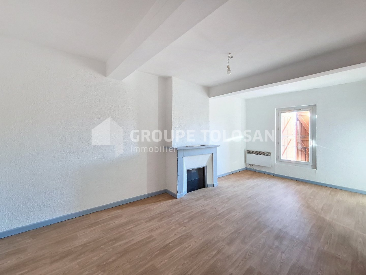 vente Immeuble Puylaurens - Photo 1