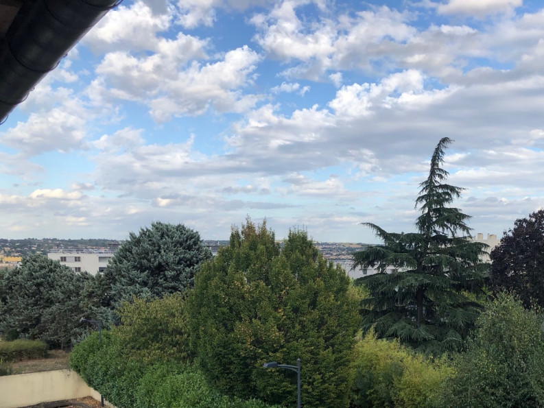 à vendre Duplex Toulouse - Photo 6