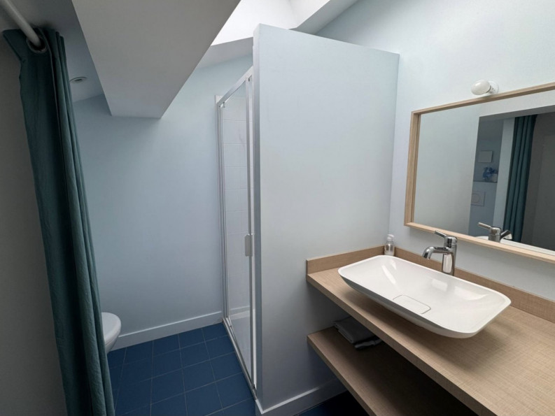 à vendre Appartement rénové Toulouse - Photo 8