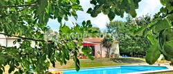 vente Maison Escalquens