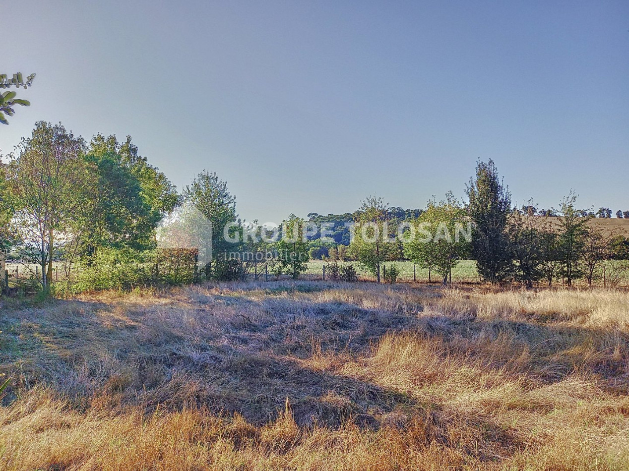 vente Maison Escalquens - Photo 13