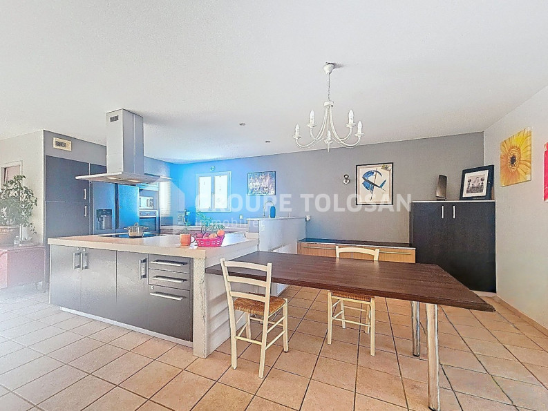 vente Maison Montlaur - Photo 6