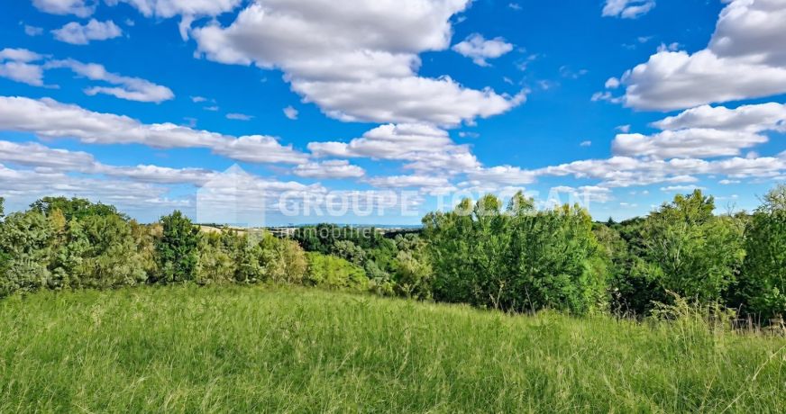 vente Terrain agricole Fourquevaux