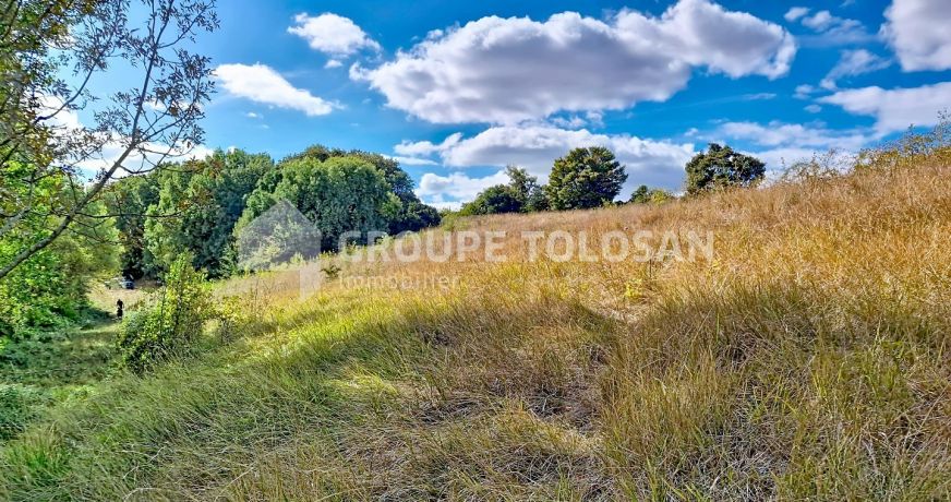 vente Terrain agricole Fourquevaux